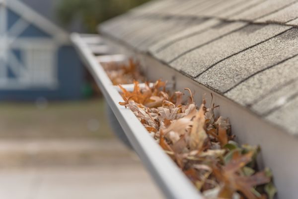 Leaf Barrier Installation in Elyria